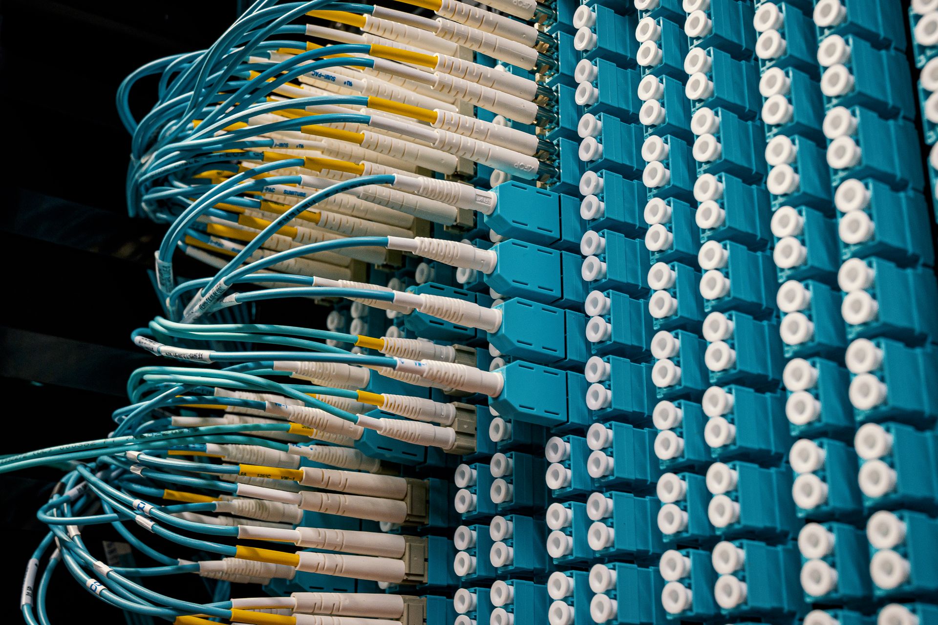 Network cables in a patch panel